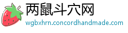 两鼠斗穴网